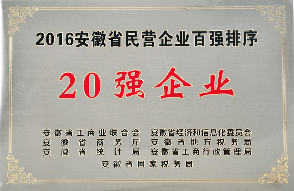 2016年度安徽民营企业20强