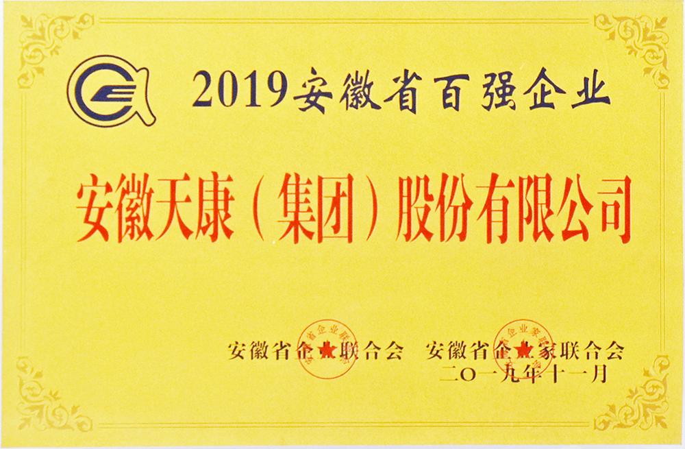 2019年度安徽省百强企业